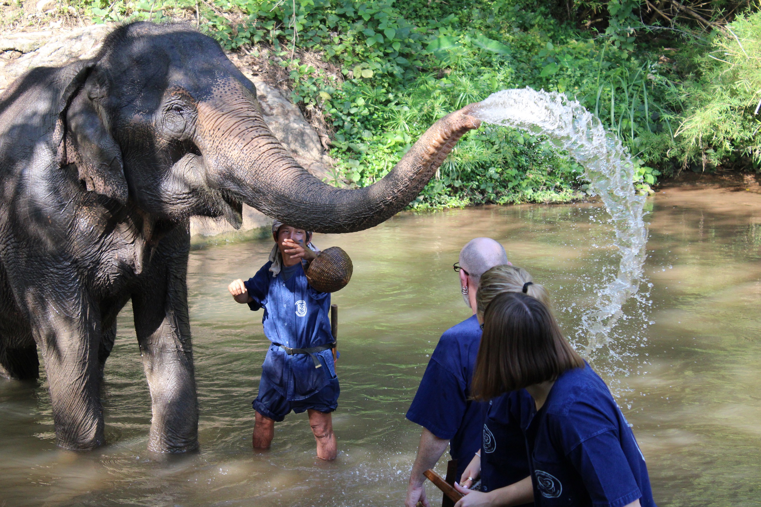 Elephant Care Centre, Chiang Mai