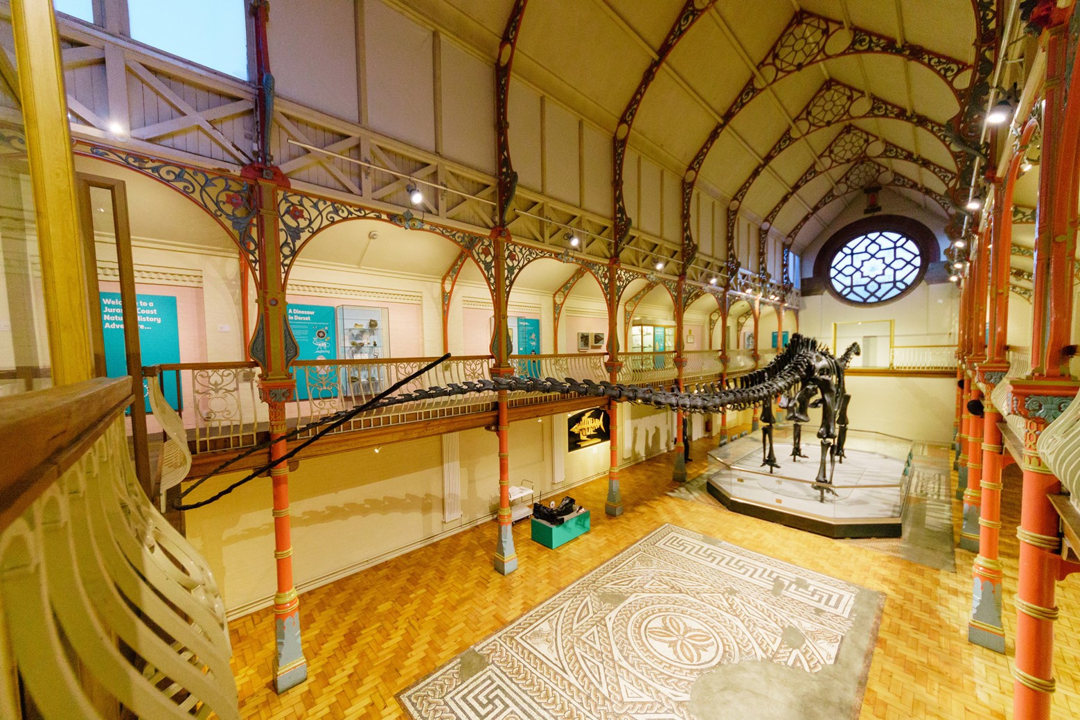 Dippy at Dorset County Museum © Trustees of the Natural History Museum, London [2018]. All rights reserved