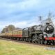 Great Central Railway is springing into May with a lineup of events that are sure to appeal to families and enthusiasts alike including a bank holiday full of beer!